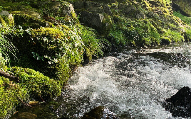 山恵廬-sunkeiro-灰屋川