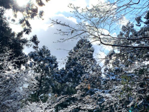 Sunkeiro-山恵廬-snow