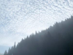 山の朝霧：morning mist in the mountains