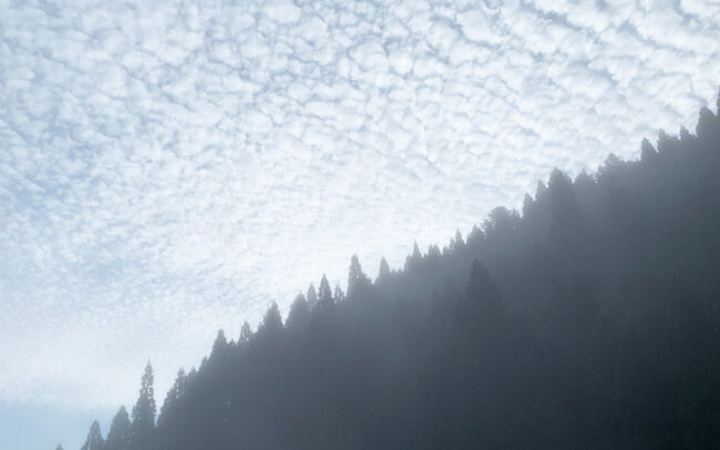 山の朝霧：morning mist in the mountains