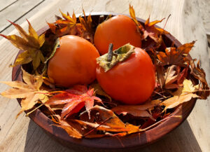 代白柿：Daishiro persimmon