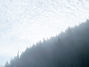 sunkeiro-10