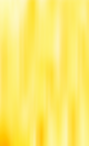 #4-IMAGE-FIN